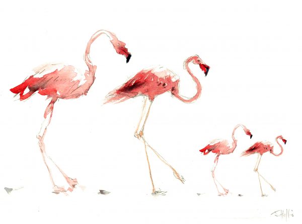 Flamingo print, from a flamingo painting by James Hollis