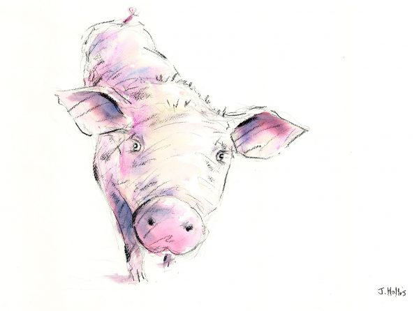 Pig painting, the friendly pig