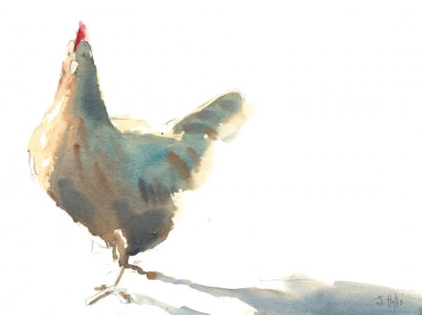 Chicken watercolour painting