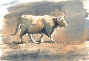 Highland cow art