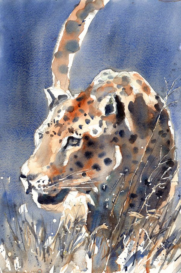 Animal art, watercolour painting of a Leopard
