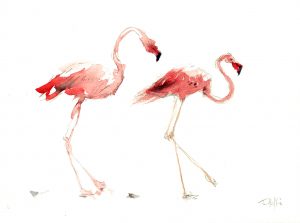 Pink flamingo print